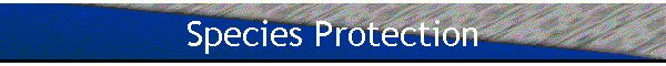 Species Protection