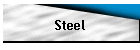 Steel